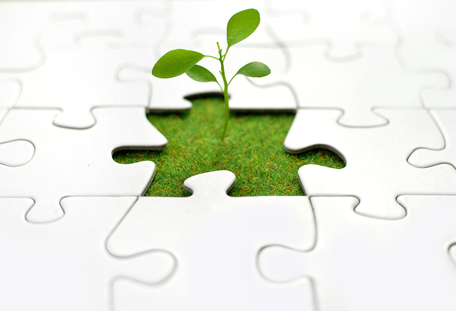 What’s driving the growing interest in data governance? 